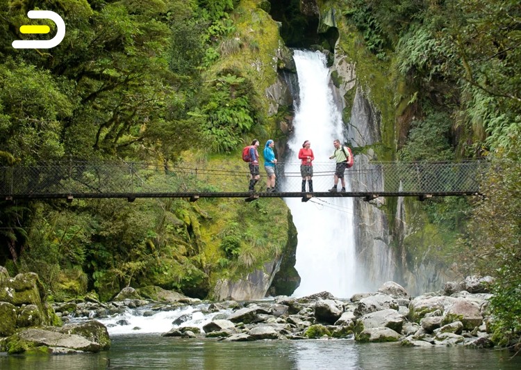 Trips and Tramps-米尔福德步道 导游陪同徒步半日游 Milford Track Guided Walks Half Day （ex Te Anau)